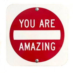 Scott Froschauer: You Are Amazing V
