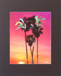 Pete Kasprzak: Palms 2  - Sunset