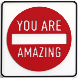 Scott Froschauer: You Are Amazing (mini)