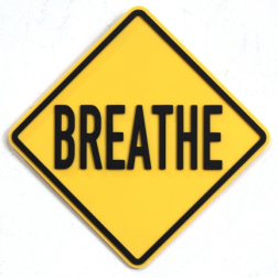 Scott Froschauer: Breathe (mini)