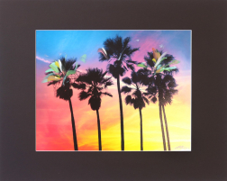 Pete Kasprzak: Venice California Multi Palms I