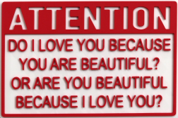 Scott Froschauer: Attention: You Are Beautiful (mini)