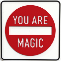 Scott Froschauer: You Are Magic (mini)