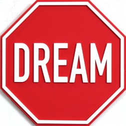 Scott Froschauer: Dream (mini)