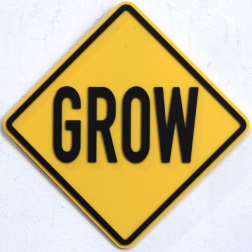 Scott Froschauer: Grow (mini)