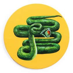 JJ Galloway: Sushi Snake on Yellow