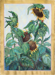 Michaela Jean: I Plant Sunflowers For The Parrots